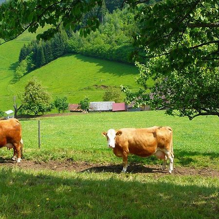 Ziegelhof Leilighet Schuttertal Eksteriør bilde