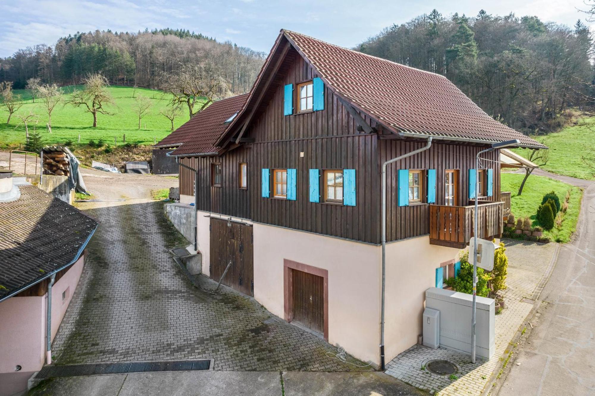 Ziegelhof Leilighet Schuttertal Eksteriør bilde