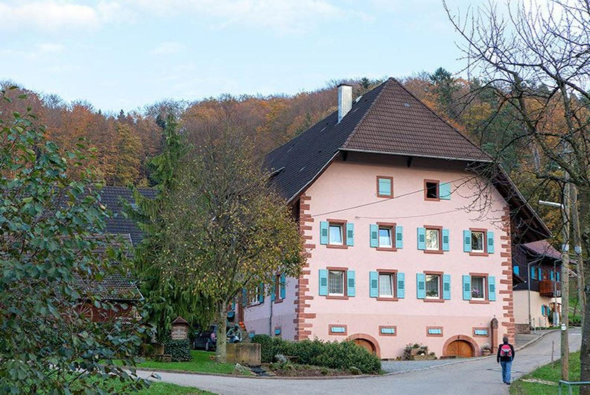 Ziegelhof Leilighet Schuttertal Eksteriør bilde